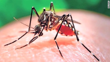 03-02-2016-zika-mutant-male-mosquitos